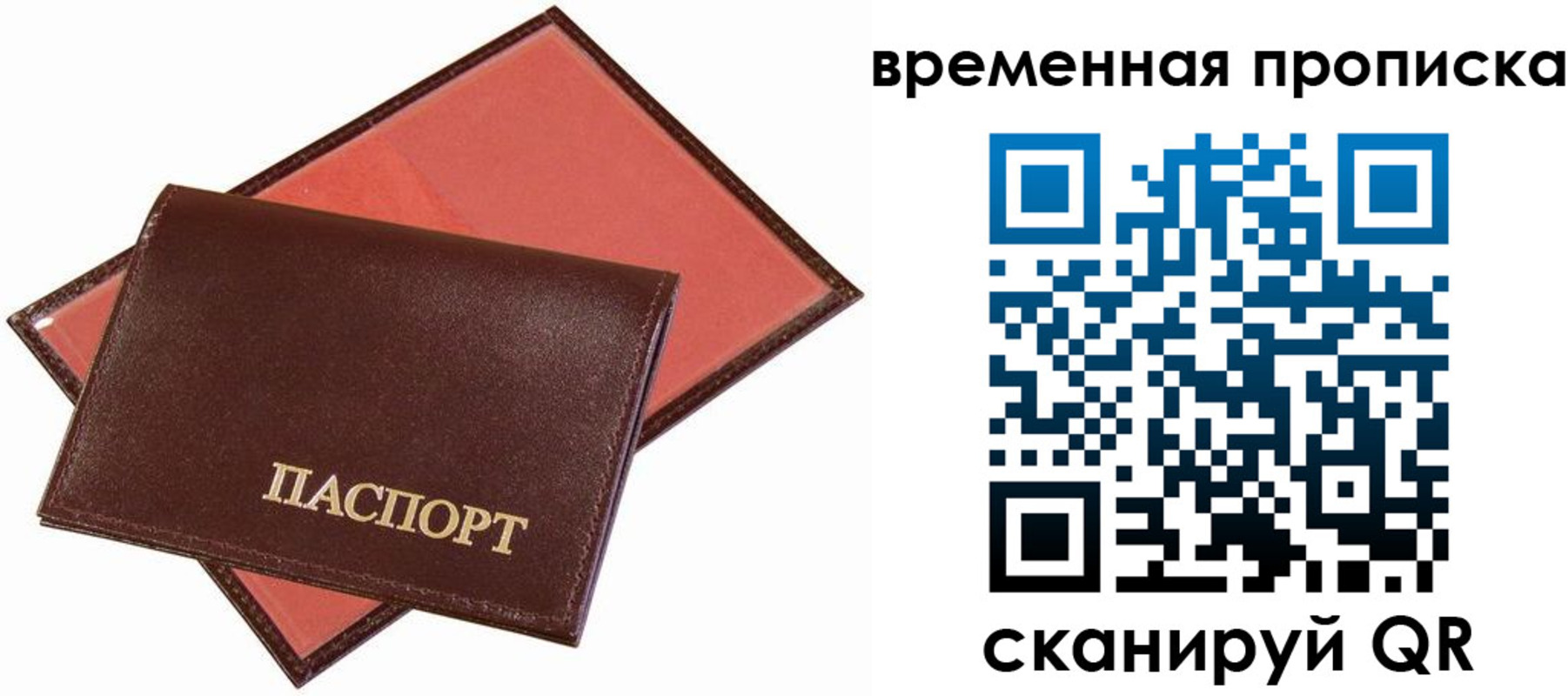 прописка в квартире в Мурманской области