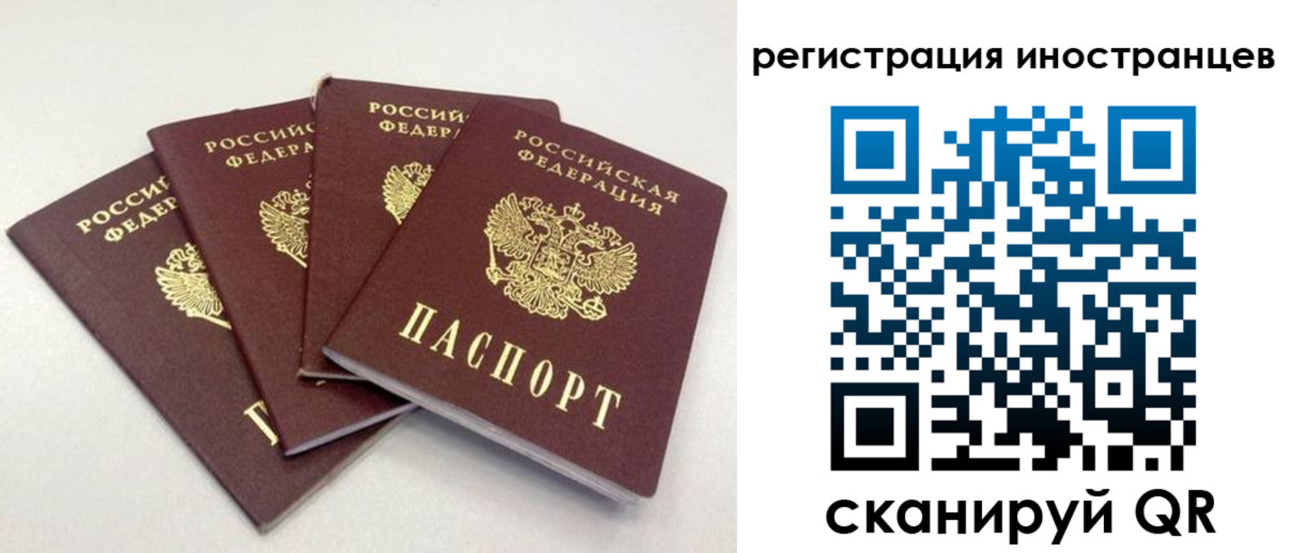 временная регистрация для школы в Мурманской области